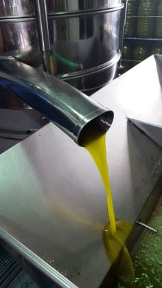separator